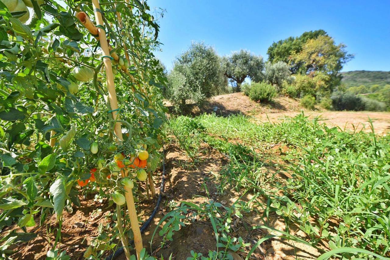 Il Molino Villa Porto Ercole  Eksteriør bilde
