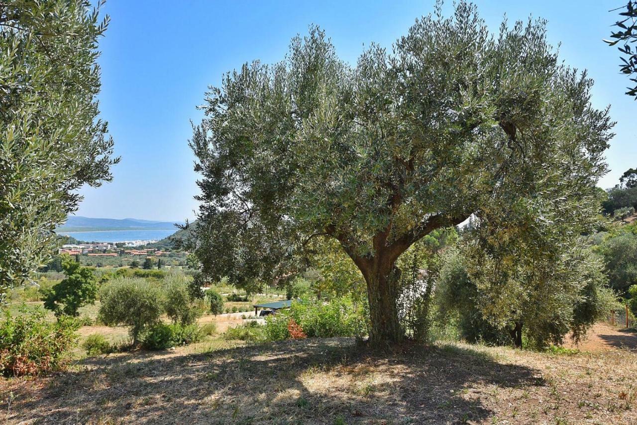 Il Molino Villa Porto Ercole  Eksteriør bilde
